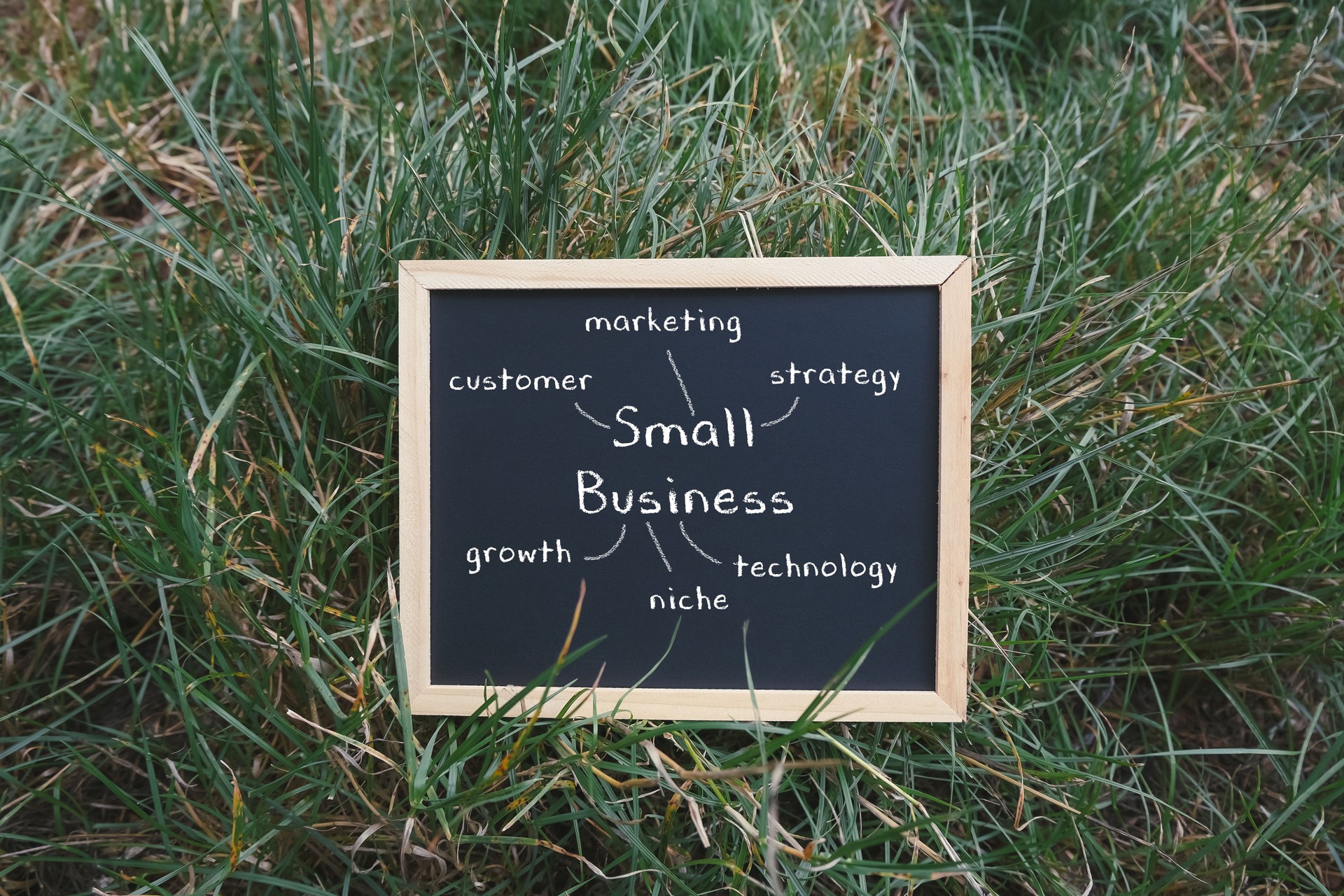 Small business strategy chalkboard with marketing concepts and growth ideas in green grass